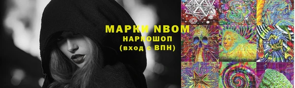 ешки Алексин