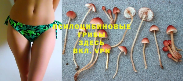 марки nbome Алзамай