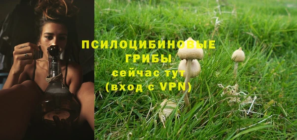 ешки Алексин