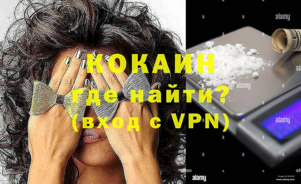 ешки Алексин
