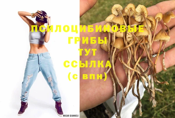 амф Алексеевка