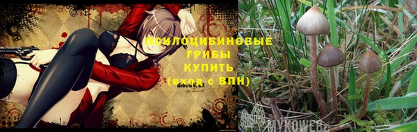 амф Алексеевка