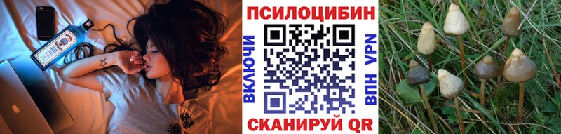 Галлюциногенные грибы MAGIC MUSHROOMS  где купить наркоту  Урюпинск 